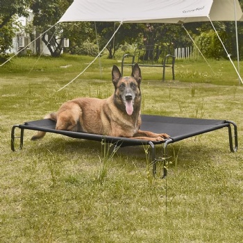 Elevated Outdoor Dog Bed